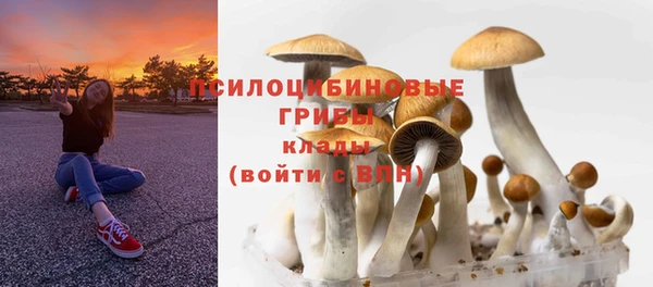 spice Алзамай