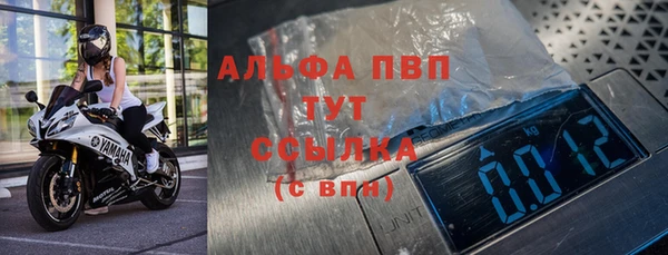 гидра Алексин