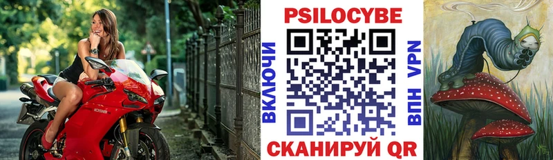Псилоцибиновые грибы Psilocybine cubensis  гидра ONION  Артёмовский  где найти  